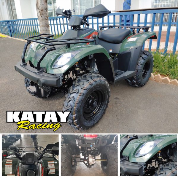 Linhai Rustler 300 2X4 New Dirt Bike / Motorcycle / ATV for sale