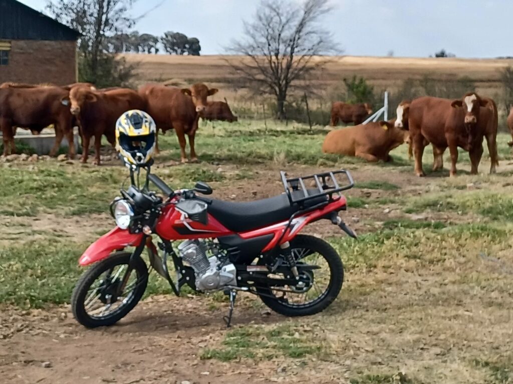 commercial bike, farm bike, delivery bike, big boy