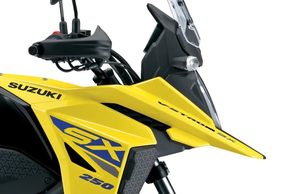 Suzuki DL 250-SX
