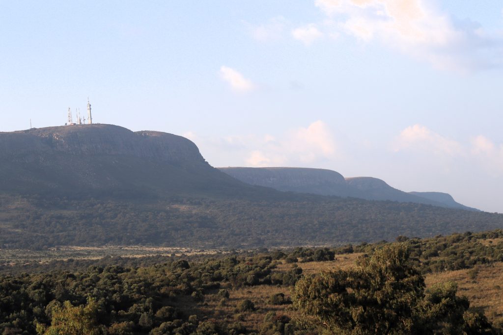 A weekend with Honda