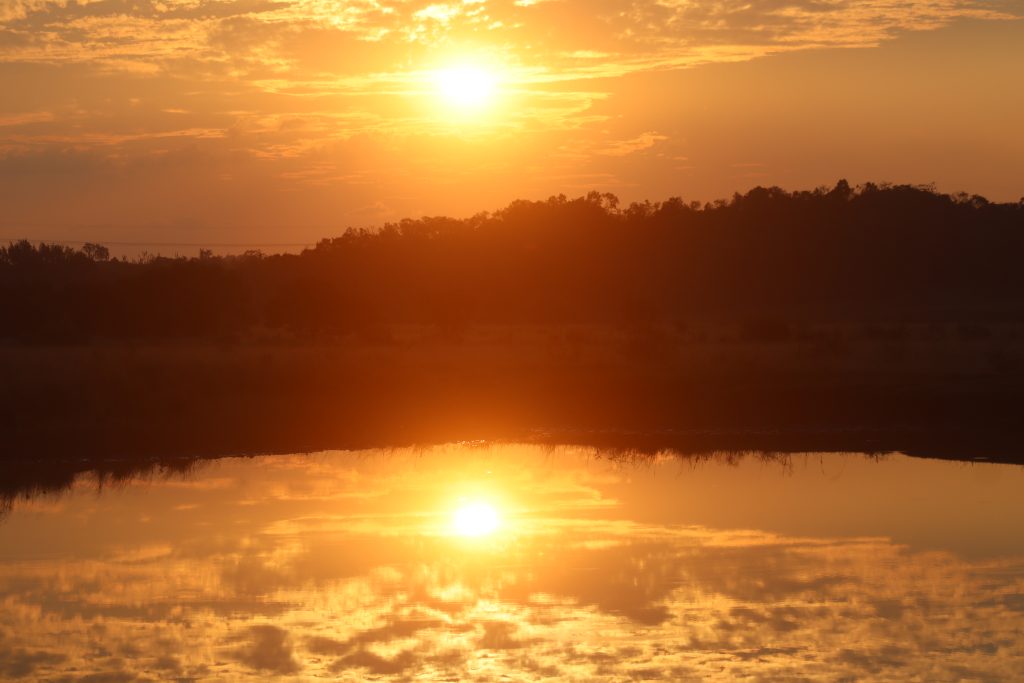 A weekend with Honda