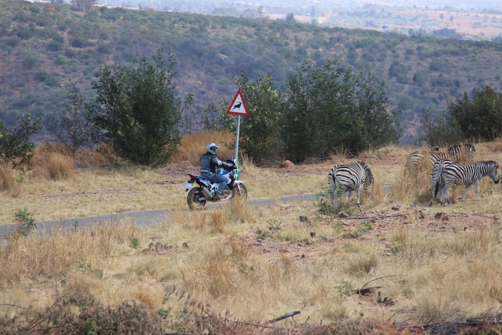 Honda Africa Twin