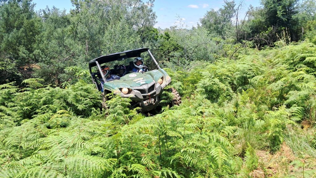 The Adventure Company