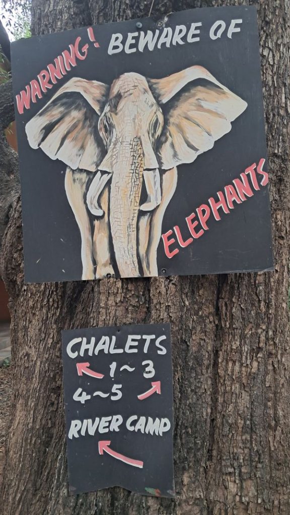 Zambia Adventure Safari