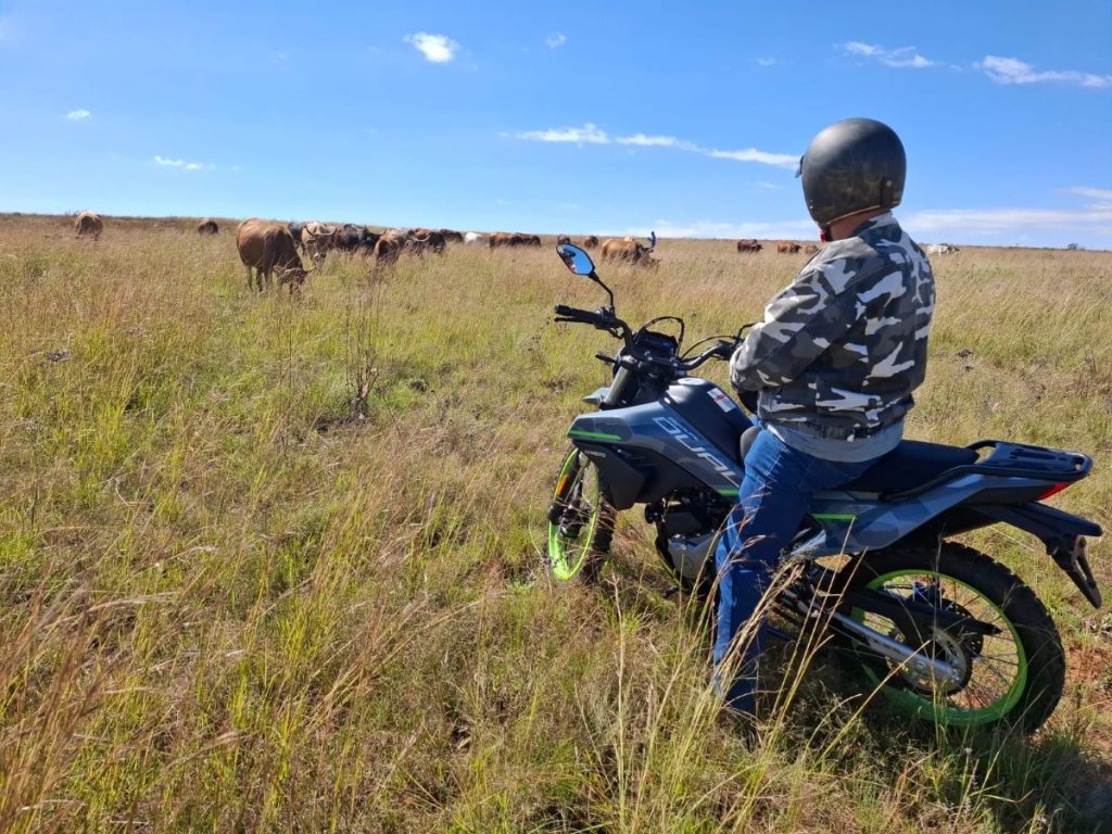 CFMOTO Dual