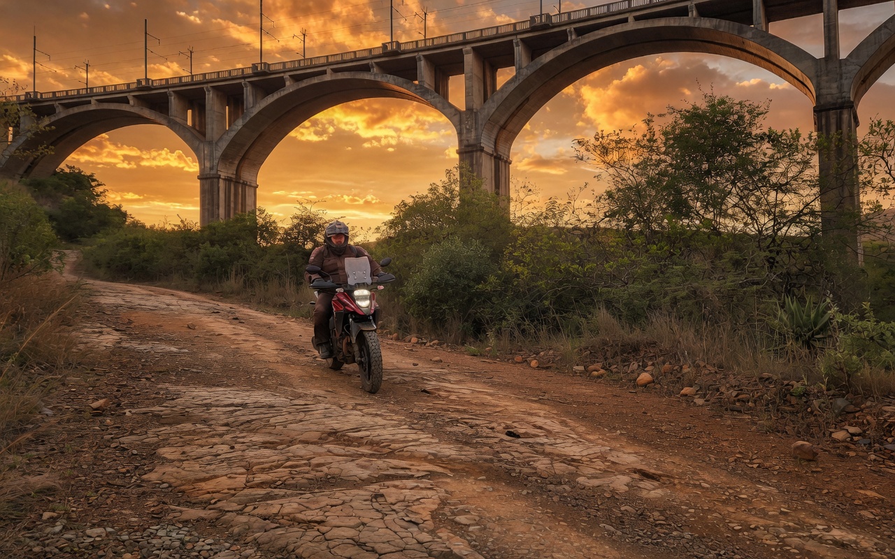 Suzuki V-Strom